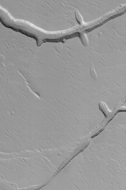 Gordii Fossae Troughs