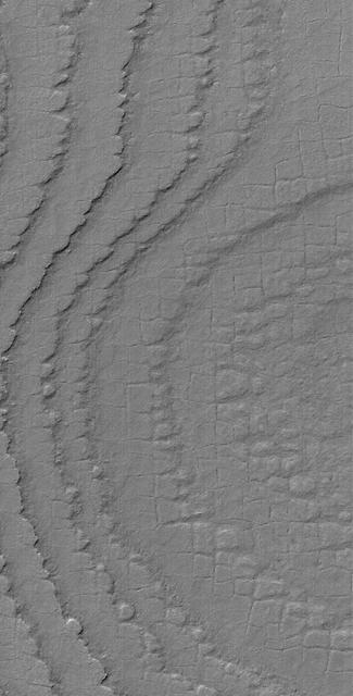 South Polar Terrain