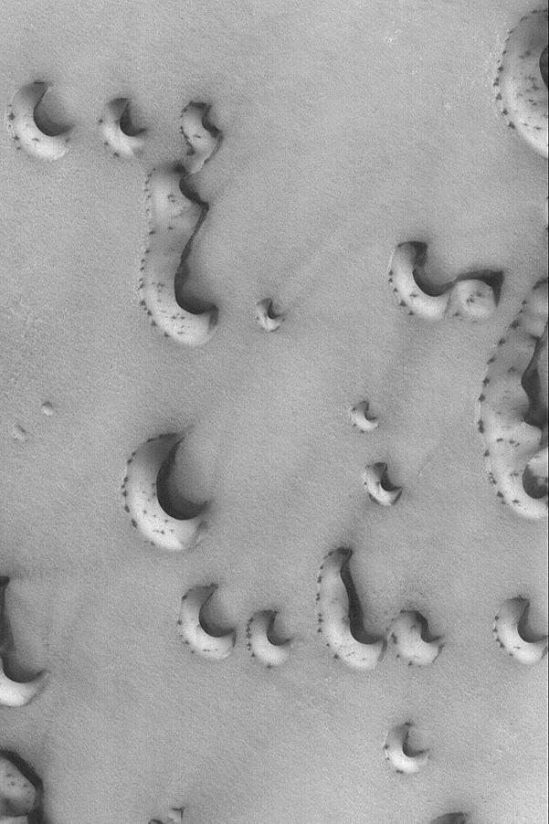 Spotty Dunes