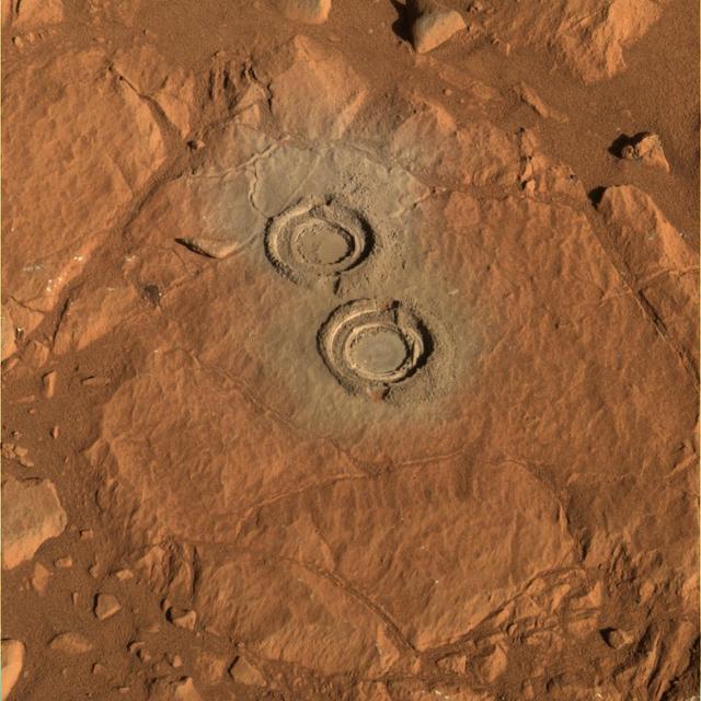 Two Holes in Wooly Patch