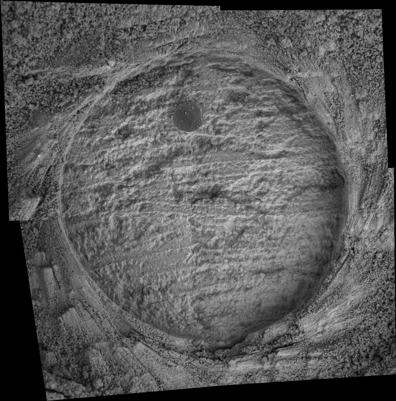 Drammensfjorden Up Close