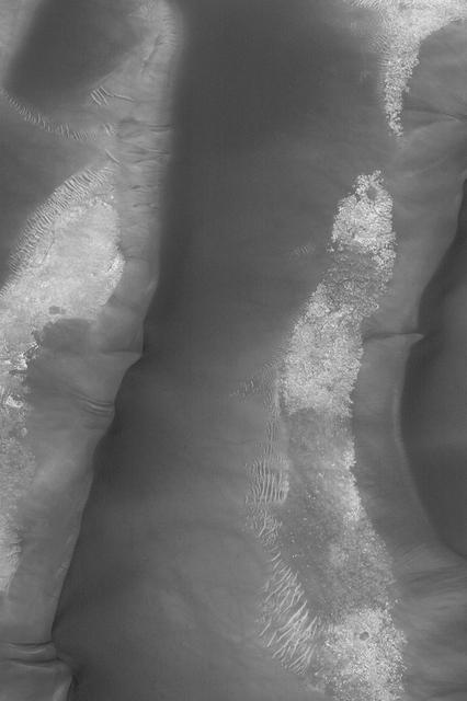 Dune Avalanche Scars