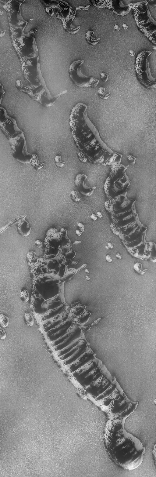 Springtime for Dunes