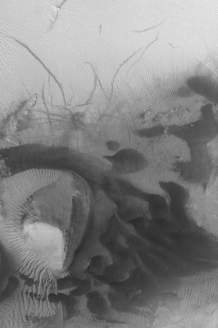 NASA image: Dunes and Dust Devil Tracks