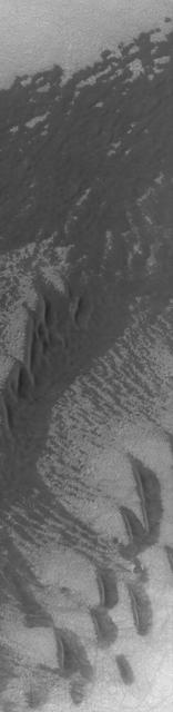 Sand Sheet and Dunes