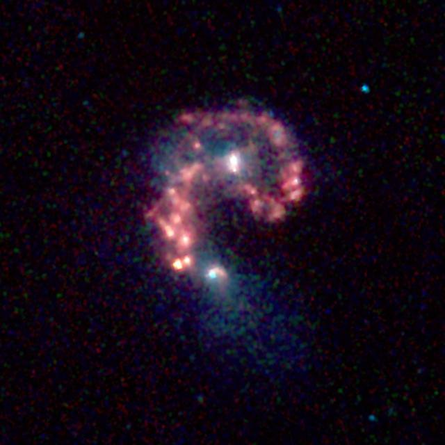This false-color image from NASA's Spitzer Space Telescope reveals hidden populations of newborn stars at the heart of the colliding "Antennae" galaxies. These two galaxies, known individually as NGC 4038 and 4039, are located around 68 million light-years away and have been merging together for about the last 800 million years. The latest Spitzer observations provide a snapshot of the tremendous burst of star formation triggered in the process of this collision, particularly at the site where the two galaxies overlap.  The image was taken by Spitzer's infrared array camera and is a combination of infrared light ranging from 3.6 microns (shown in blue) to 8.0 microns (shown in red). The dust emission (red) is by far the strongest feature in this image. Starlight was systematically subtracted from the longer wavelength data (red) to enhance dust features.  The two nuclei, or centers, of the merging galaxies show up as white areas, one above the other. The brightest clouds of forming stars lie in the overlap region between and left of the nuclei.  Throughout the sky, astronomers have identified many of these so-called "interacting" galaxies, whose spiral discs have been stretched and distorted by their mutual gravity as they pass close to one another. The distances involved are so large that the interactions evolve on timescales comparable to geologic changes on Earth. Observations of such galaxies, combined with computer models of these collisions, show that the galaxies often become forever bound to one another, eventually merging into a single, spheroidal-shaped galaxy.  Wavelengths of 3.6 microns are represented in blue, 4.5 microns in green and 5.8-8.0 microns in red. This image was taken on Dec. 24, 2003.  http://photojournal.jpl.nasa.gov/catalog/PIA06853