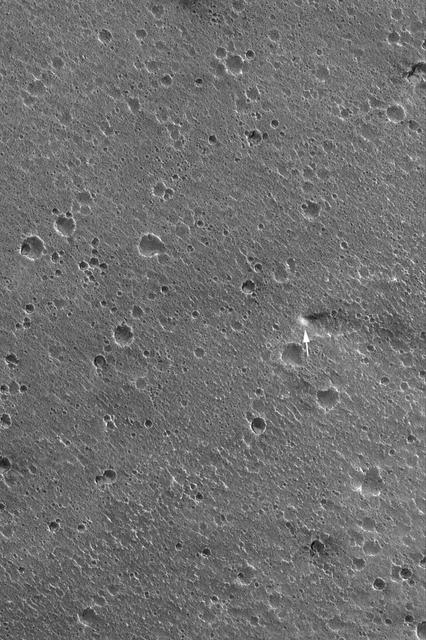 September Dust Devil