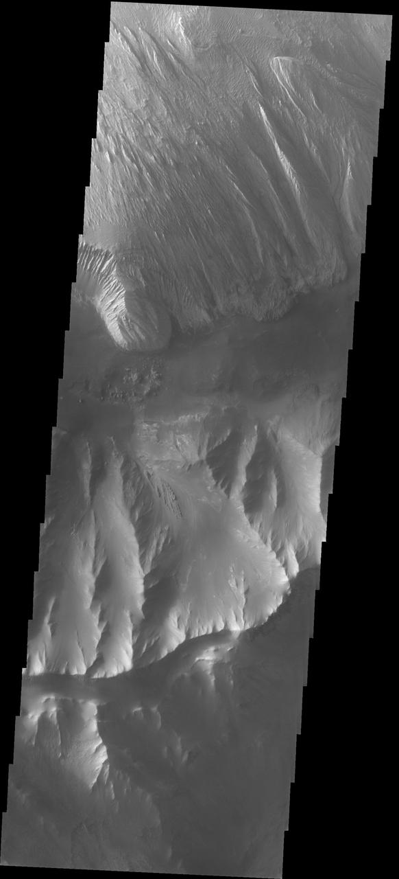 Ophir Chasma Etched Rock