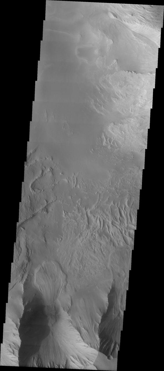 Candor Chasma Landslides
