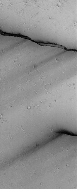 Cerberus Fossae Troughs