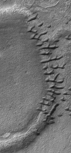 Dunes on a Ridge