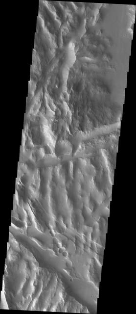 NASA image: Sulci Collapse Pits