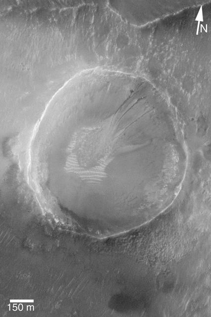 NASA image: Small Gullied Crater