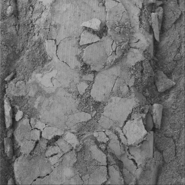 NASA image: Closeup View of Compacted Soil