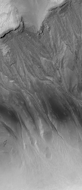 Noachis Pit Crater Gullies