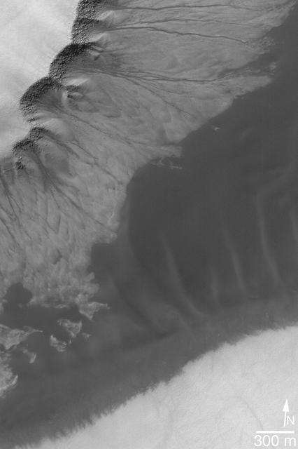 NASA image: Gullies and Sand