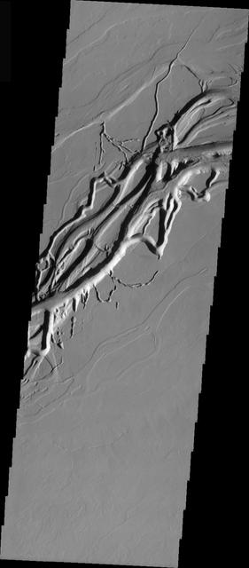 Olympica Fossae Redux