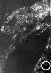 First Best-Guess View of Huygens Landing Site