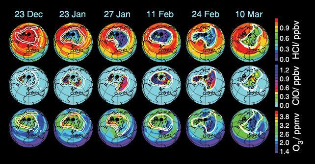 These data maps from the Microwave Limb Sounder on NASA Aura spacecraft depict levels of hydrogen chloride, chlorine monoxide, and ozone at an altitude of approximately 19 km 490,000 ft on selected days during the 2004-05 Arctic winter.