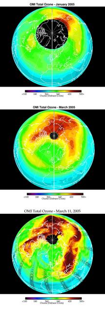 Selected Measurements of Total Arctic Column Ozone Amounts from Aura Ozone Monitoring Instrument, 2004-2005 Arctic Winter