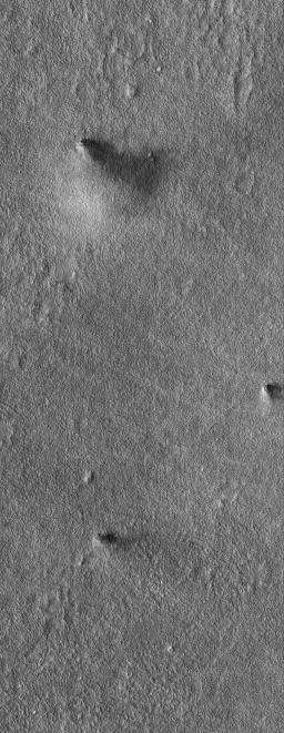 Dust Devils Together