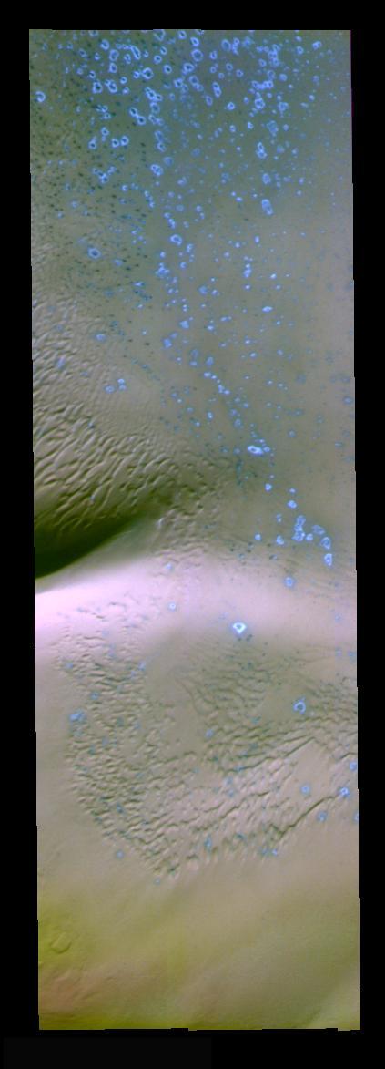 North Polar False Color
