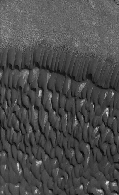 NASA image: North Polar Dunes