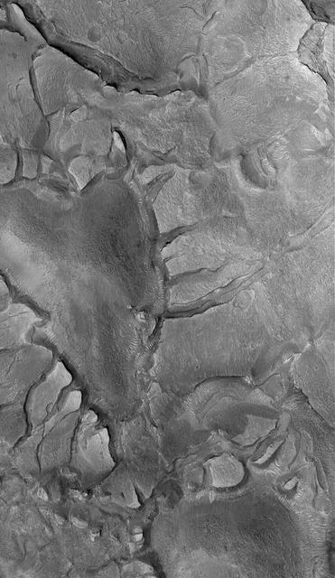 Martian Valentine Day