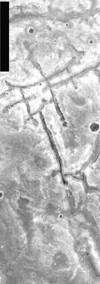 THEMIS Images as Art #43