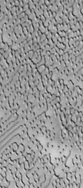 NASA image: North Polar Dunes