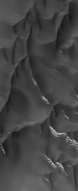 NASA image: Frost on Dunes