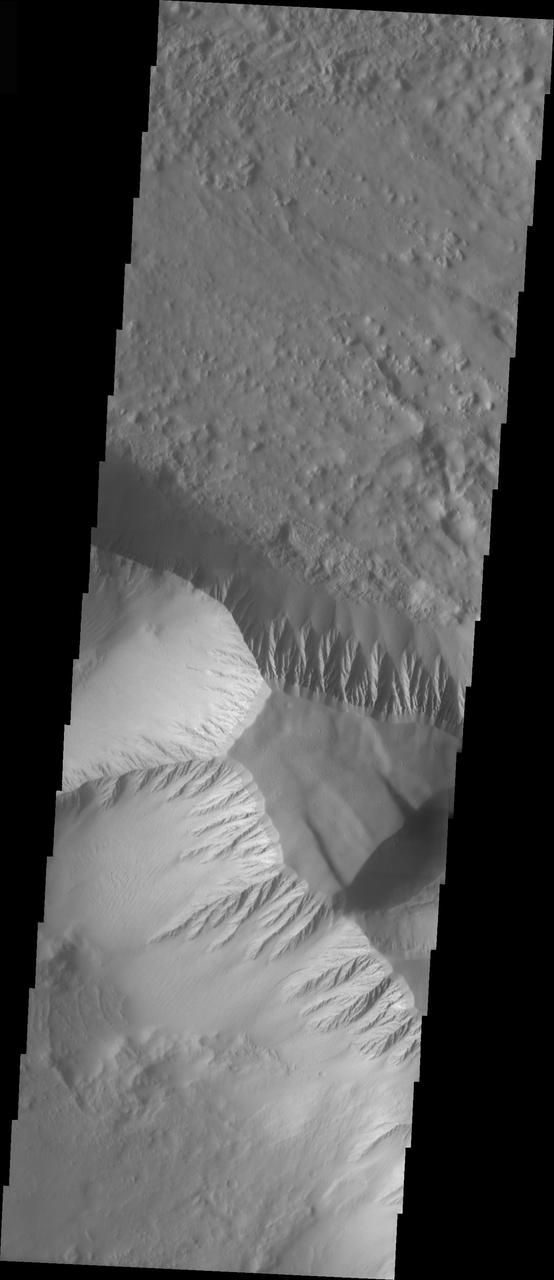 Olympus Mons Mensa