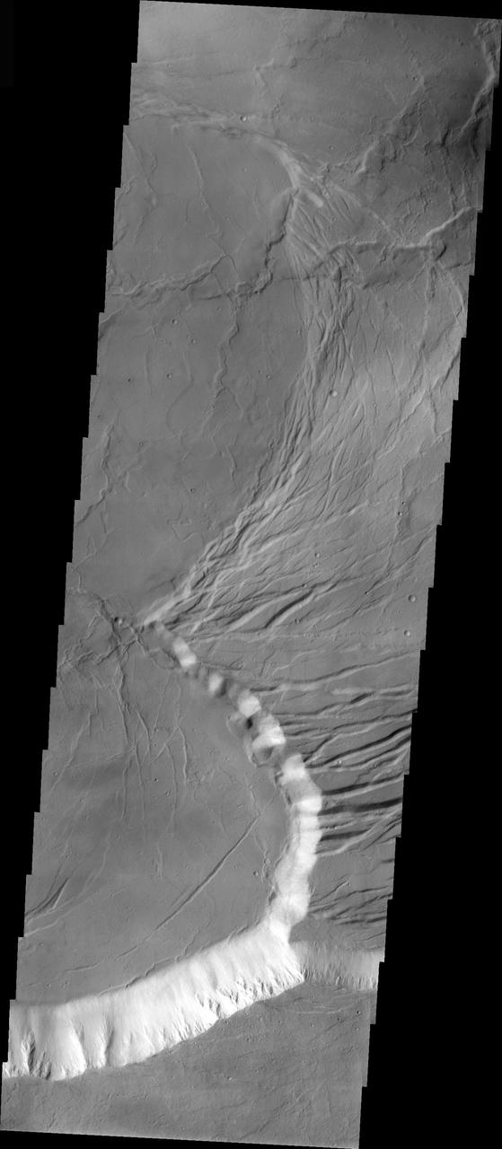 Arcuate Fractures in Olympus Mons Caldera