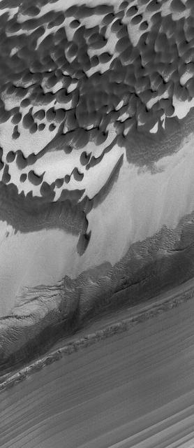 This Mars Global Surveyor MGS Mars Orbiter Camera MOC image shows layers and dunes in Chasma Boreale, a large depression in the north polar region.