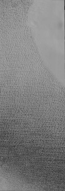 Isolated Northern Dunes