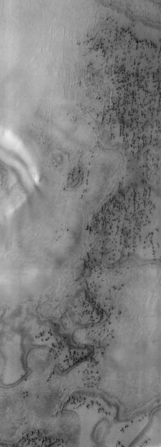 NASA image: North Polar Erg