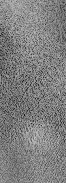 NASA image: Northern Sand Sea