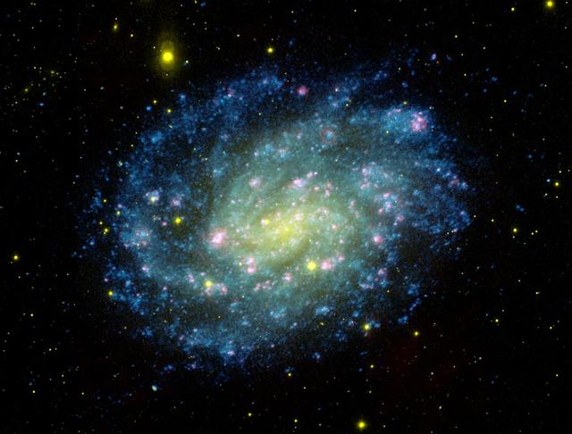 Young hot blue stars dominate the outer spiral arms of nearby galaxy NGC 300, while the older stars congregate in the nuclear regions which appear yellow-green in this image from NASA Galaxy Evolution Explorer.