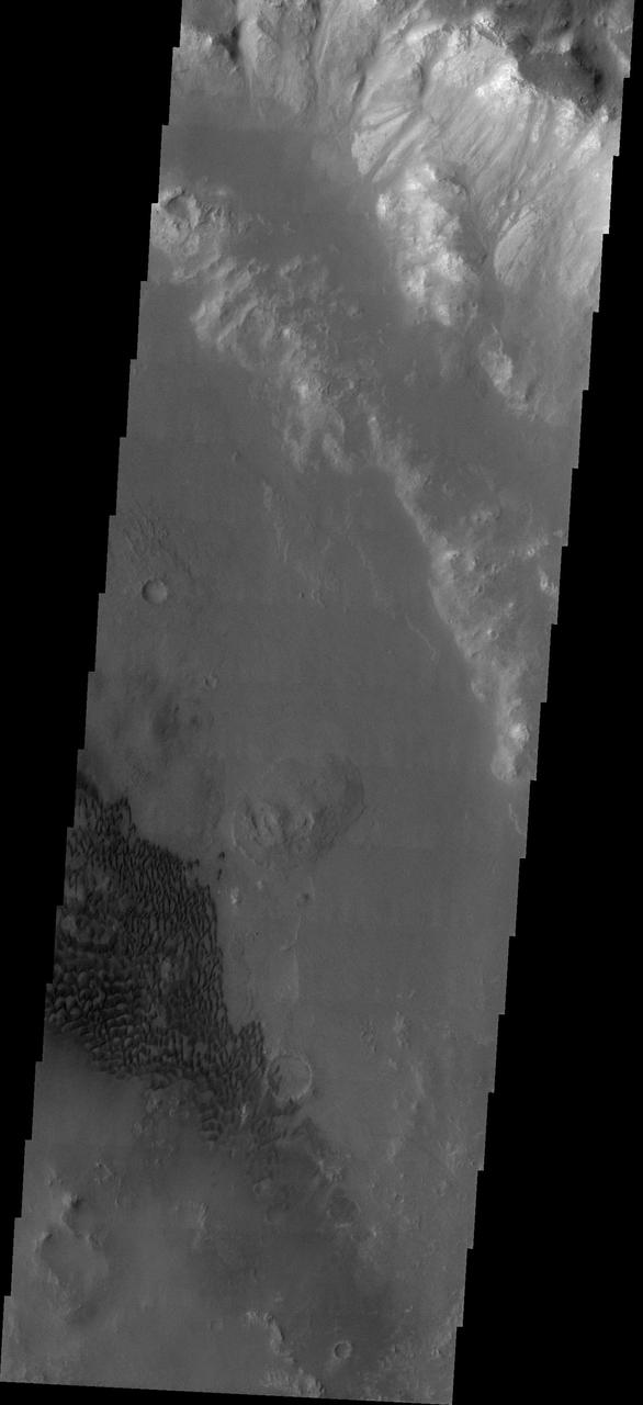 Holden Crater Dune Field