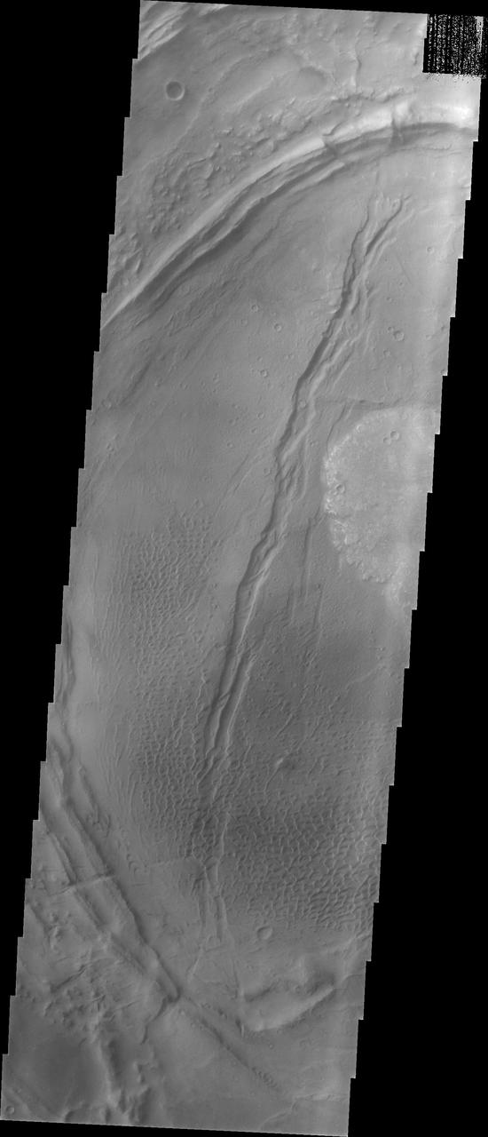 Nili Patera Dune Field