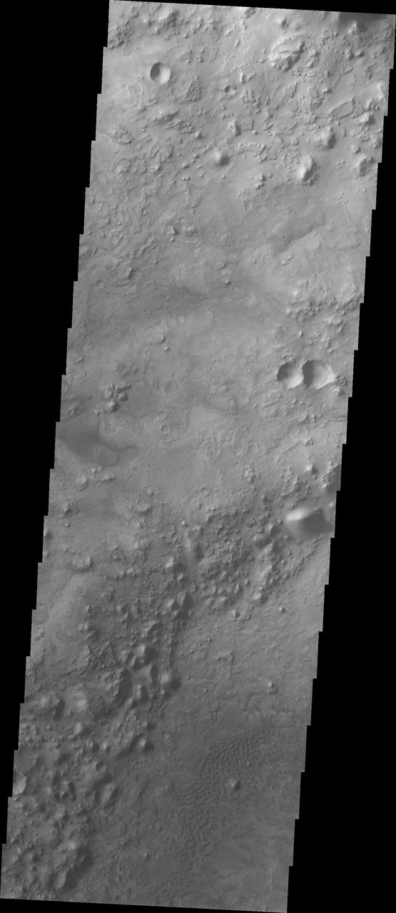 Crater Floor Dune Field