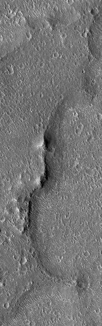 Cratered Isidis Plain