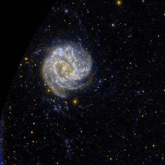 Ultraviolet images such as this one from NASA's Galaxy Evolution Explorer suggest the M83 has unusual pockets of star formation separated by large distances from the spiral arms in the main disk of the galaxy.  http://photojournal.jpl.nasa.gov/catalog/PIA07903