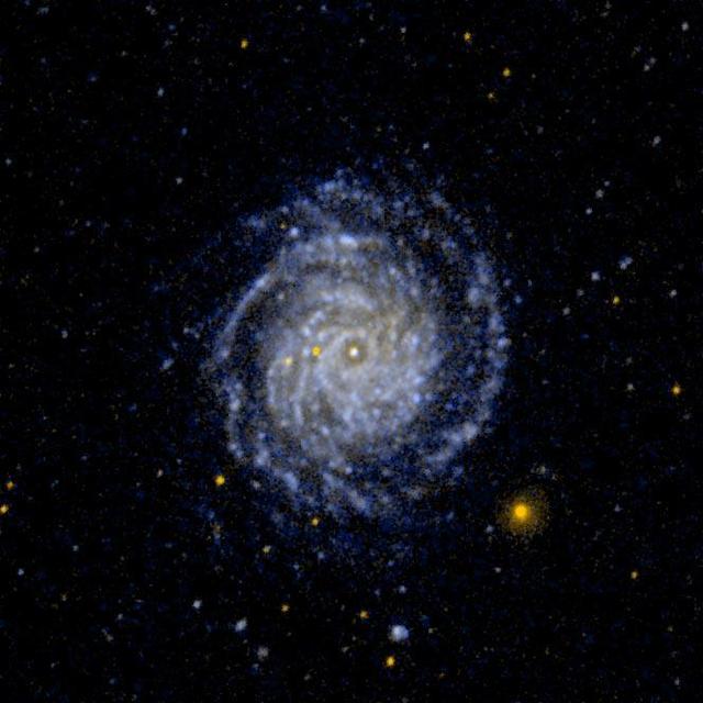 NASA image: Large Face on Spiral Galaxy NGC 3344