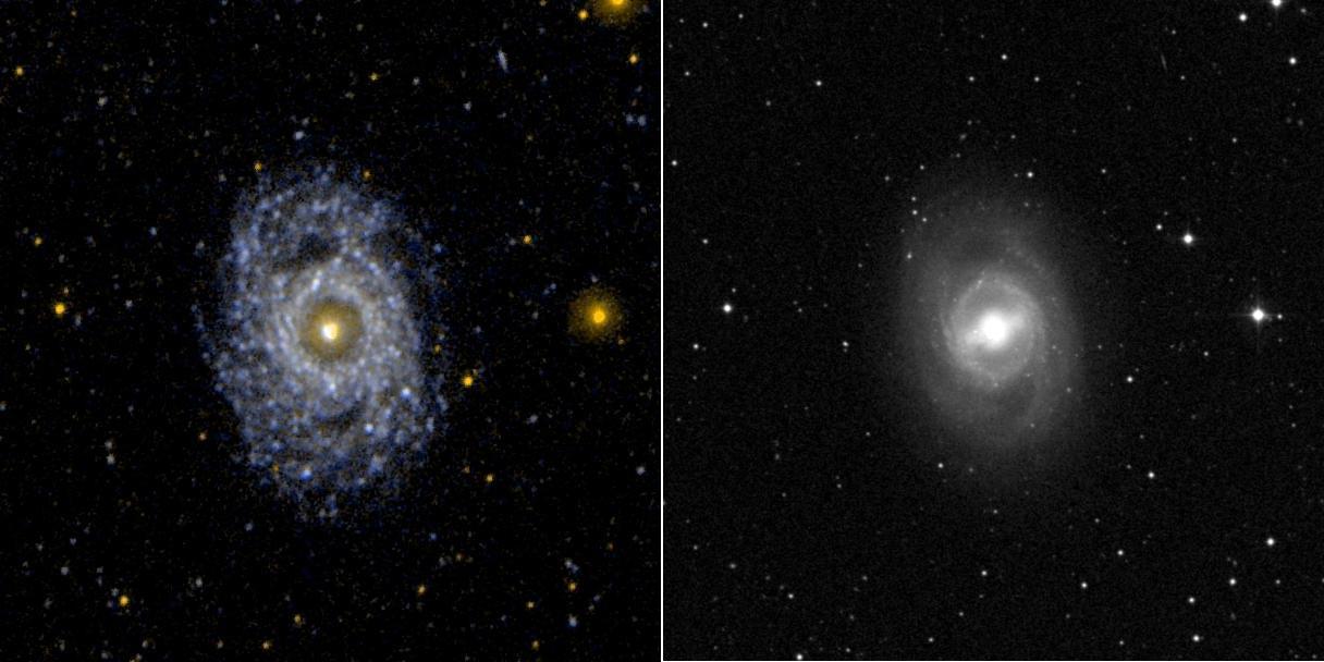 This ultraviolet image from NASA Galaxy Evolution Explorer left and visual image right of the face on barred and ringed spiral galaxy NGC 3351 M95.