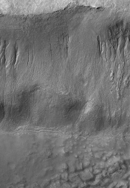 NASA image: Gullied Wall