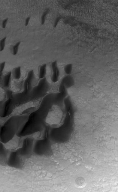 NASA image: Noachis Dunes