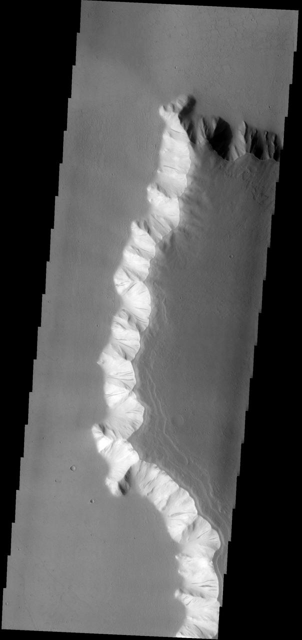 The eastern wall of Echus Chasma has numerous dust avalanches