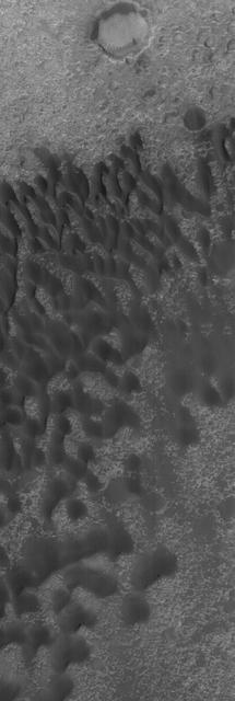 NASA image: Tyrrhena Dunes
