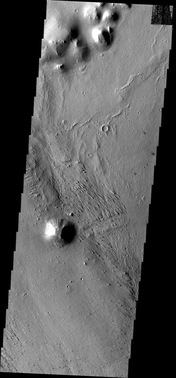 Small ripple-like dunes surround hills in the region of Elysium Planitia in this image from NASA Mars Odyssey spacecraft.